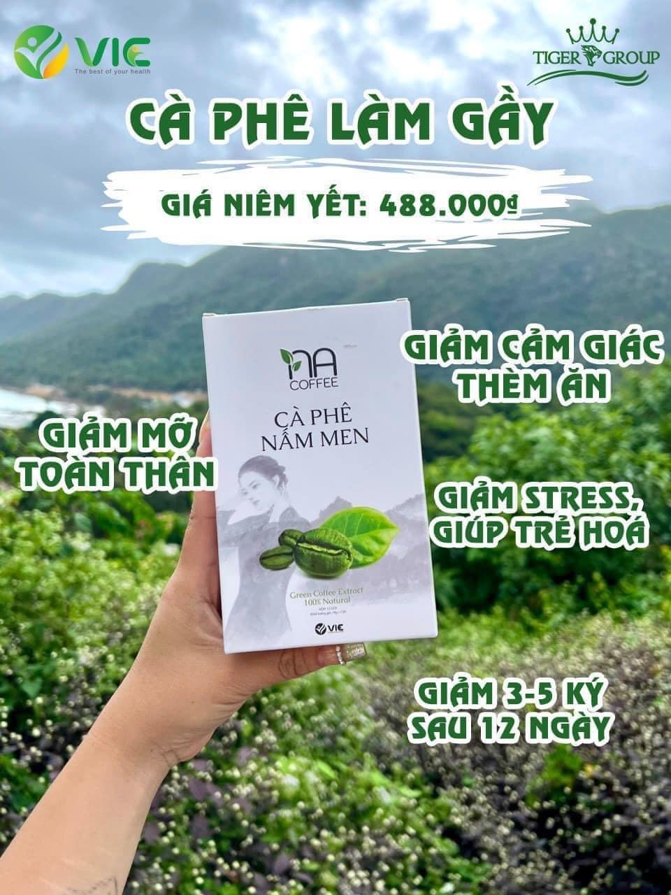 Review Cà Phê Nấm Men Có Tốt Không?
