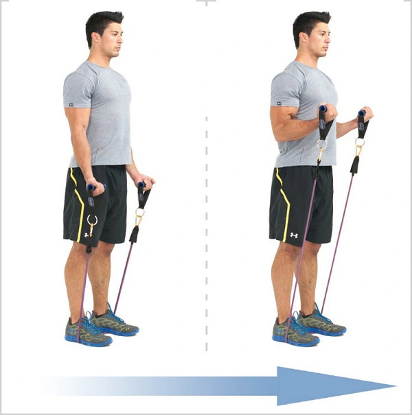 Bài tập với dây kháng lực bài tập tăng cân hiệu quả