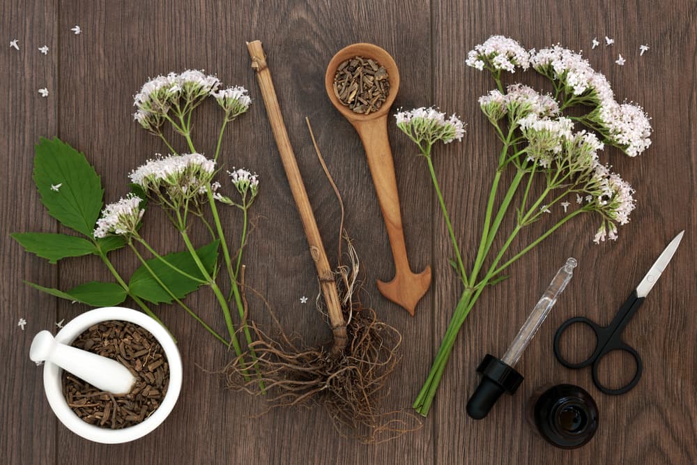 Viên uống ngủ ngon chiết xuất từ cây nữ lang Valerian