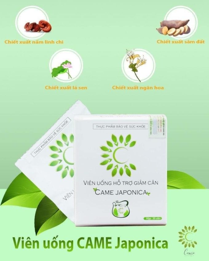 Thành phần Viên Uống Giảm Cân Came
