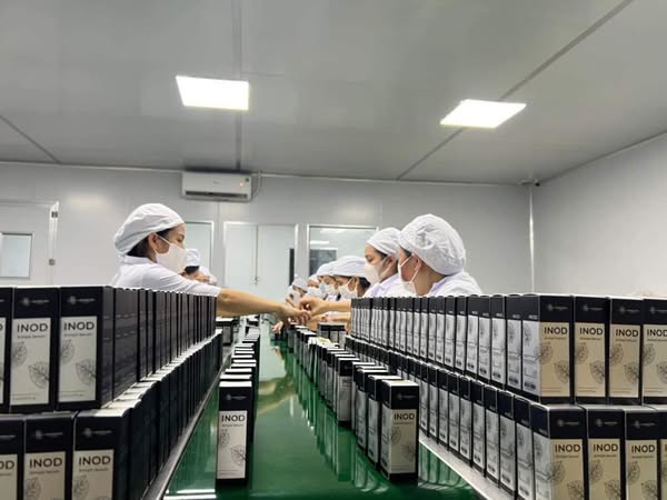 Thành phần nổi bật