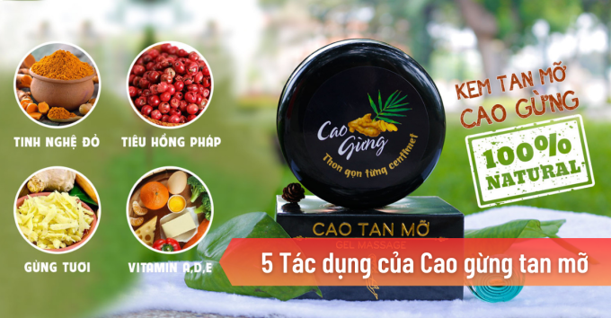 Thành Phần Chính Của Cao Gừng Tan Mỡ